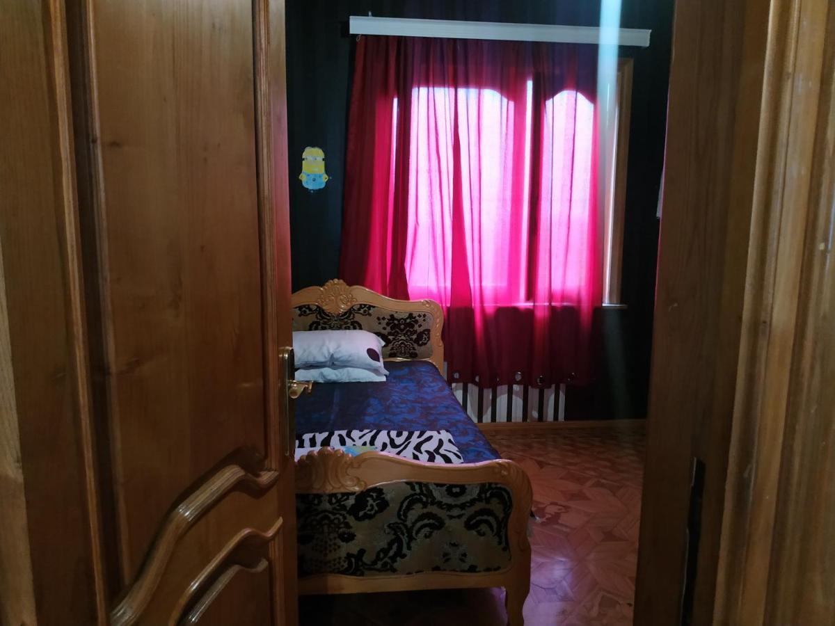 Сибиряк تسكالتوبو المظهر الخارجي الصورة