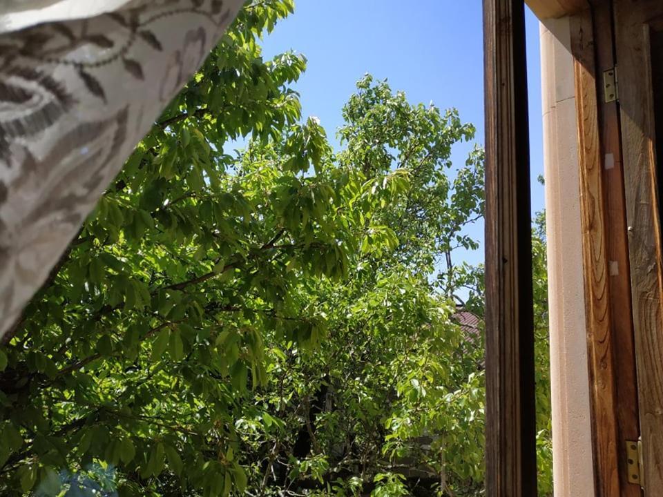 Сибиряк تسكالتوبو المظهر الخارجي الصورة