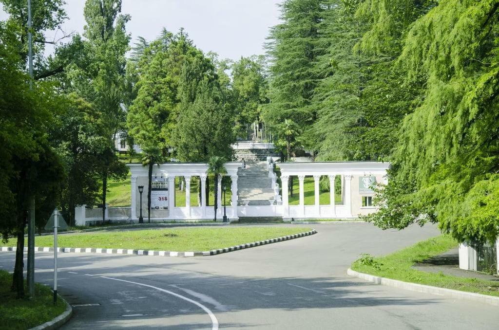Сибиряк تسكالتوبو المظهر الخارجي الصورة